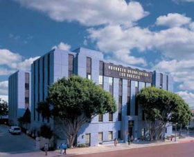 Avansert organisasjon Los Angeles, California